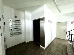 IMG_6421 IMG_6421